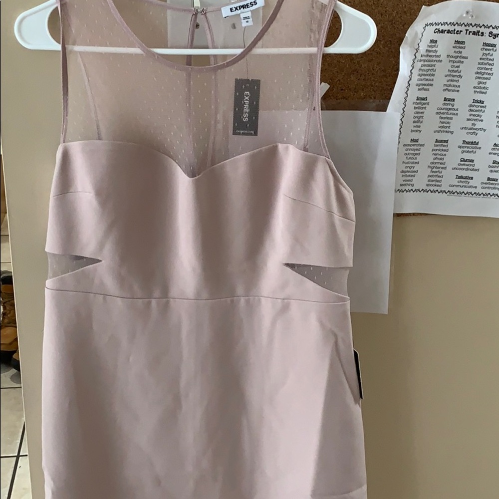 Blush Mini Dress